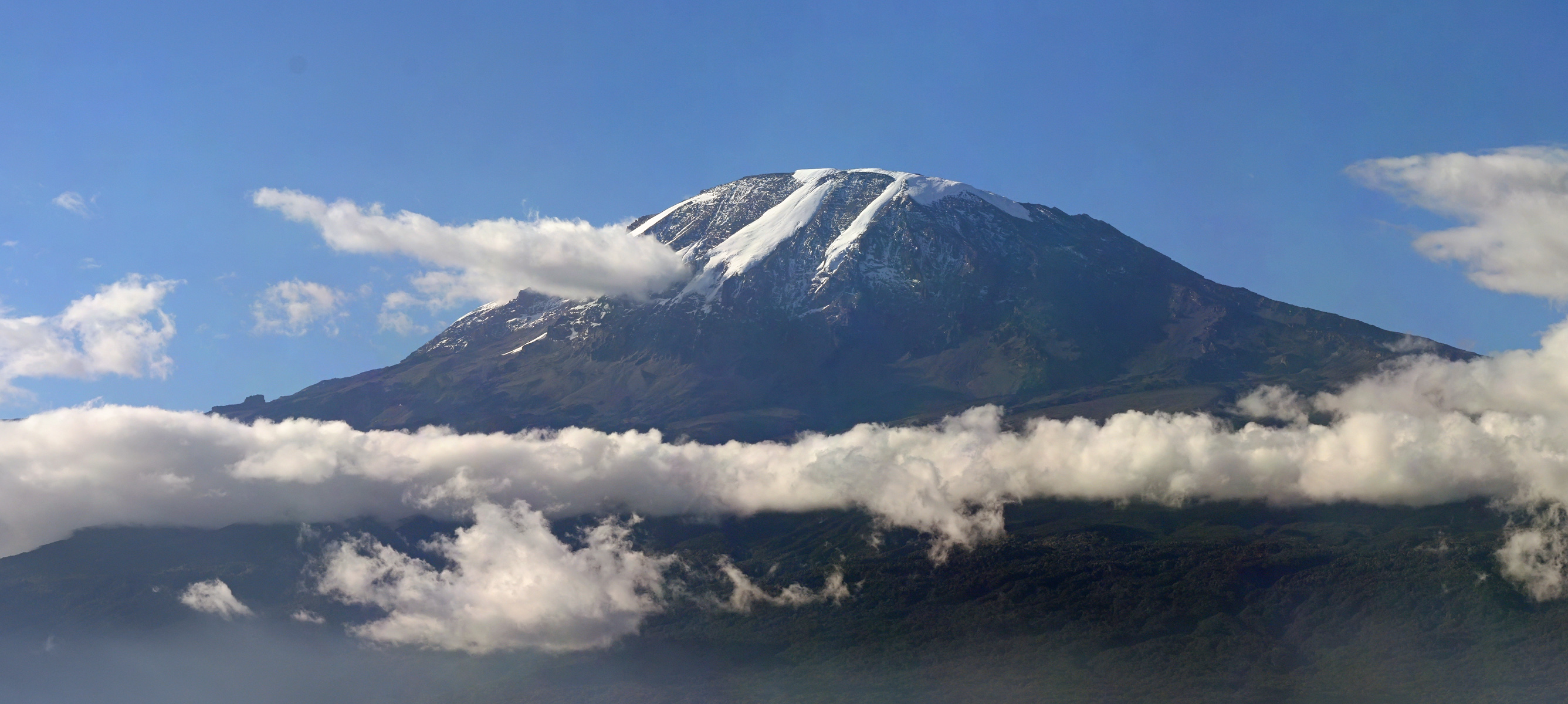 Featured image of post The Snows Of Kilimanjaro